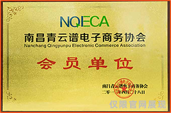 电子商务协会会员单位

